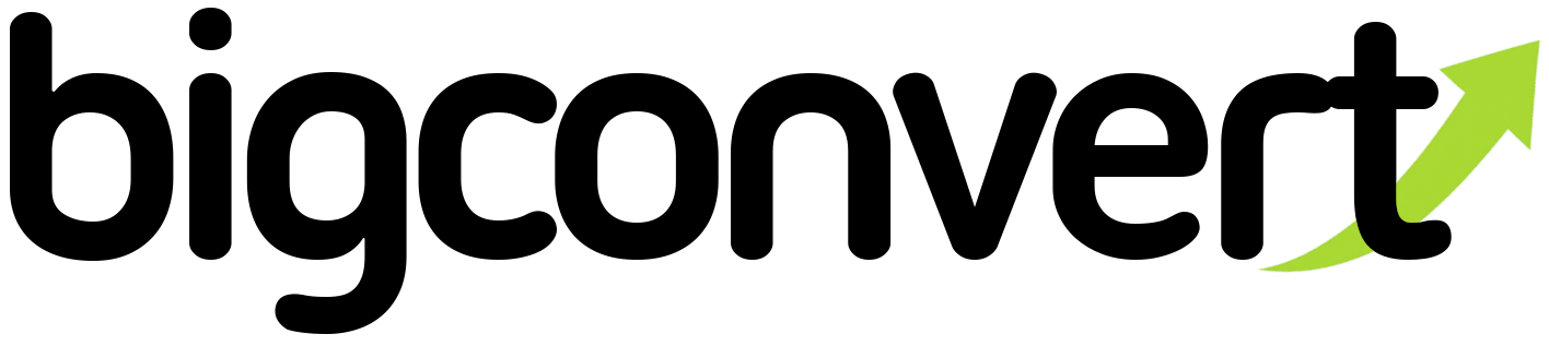 BigConvert logo