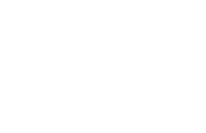 logo-fsm-wht-300x194